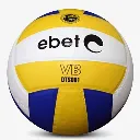 Bóng Chuyền ĐL DTS001.webp